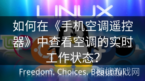 如何在《手机空调遥控器》中查看空调的实时工作状态？