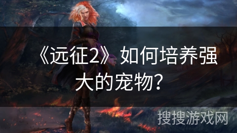 《远征2》如何培养强大的宠物？