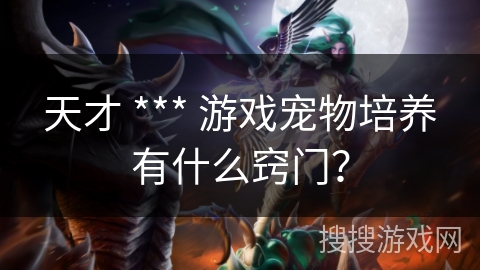 天才 *** 游戏宠物培养有什么窍门？