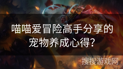 喵喵爱冒险高手分享的宠物养成心得？