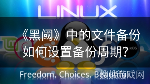 《黑阈》中的文件备份如何设置备份周期？