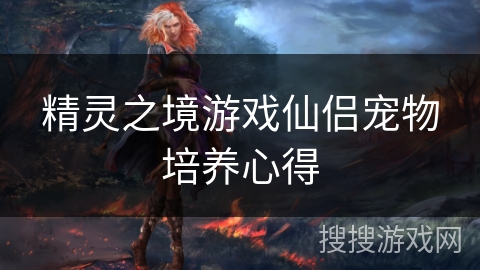 精灵之境游戏仙侣宠物培养心得