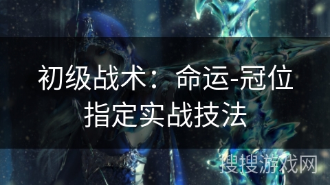 初级战术：命运-冠位指定实战技法