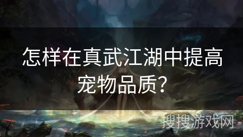 怎样在真武江湖中提高宠物品质？
