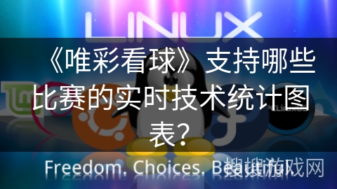 《唯彩看球》支持哪些比赛的实时技术统计图表？