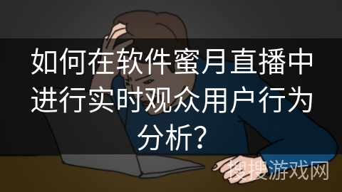 如何在软件蜜月直播中进行实时观众用户行为分析？