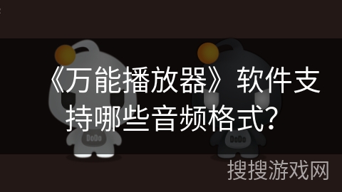 《万能播放器》软件支持哪些音频格式？