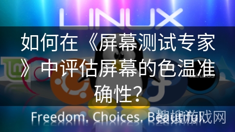 如何在《屏幕测试专家》中评估屏幕的色温准确性？