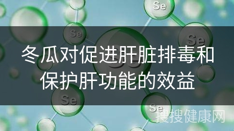 冬瓜对促进肝脏排毒和保护肝功能的效益