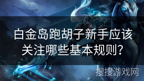 白金岛跑胡子新手应该关注哪些基本规则？