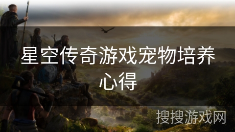 星空传奇游戏宠物培养心得