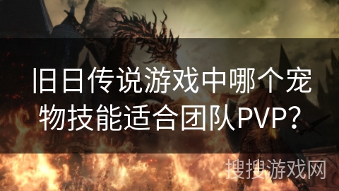 旧日传说游戏中哪个宠物技能适合团队PVP？