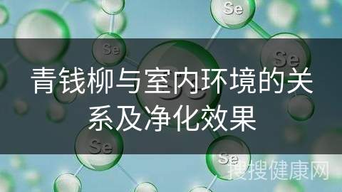 青钱柳与室内环境的关系及净化效果