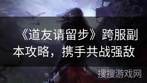 《道友请留步》跨服副本攻略，携手共战强敌
