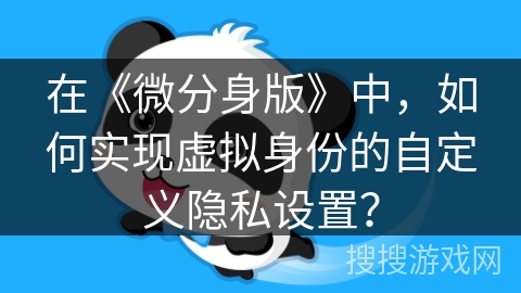 在《微分身版》中，如何实现虚拟身份的自定义隐私设置？