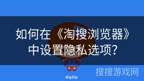 如何在《淘搜浏览器》中设置隐私选项？