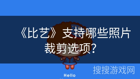 《比艺》支持哪些照片裁剪选项？