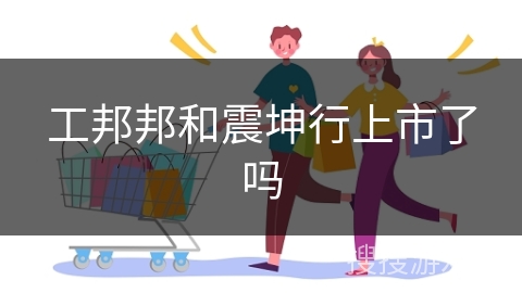 工邦邦和震坤行上市了吗