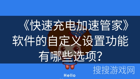 《快速充电加速管家》软件的自定义设置功能有哪些选项？