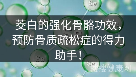 茭白的强化骨骼功效，预防骨质疏松症的得力助手！