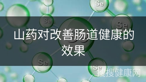 山药对改善肠道健康的效果