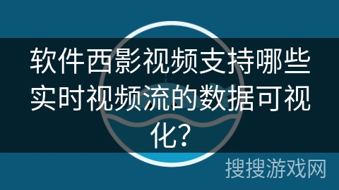 软件西影视频支持哪些实时视频流的数据可视化？