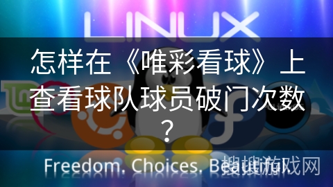 怎样在《唯彩看球》上查看球队球员破门次数？
