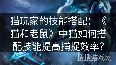 猫玩家的技能搭配：《猫和老鼠》中猫如何搭配技能提高捕捉效率？