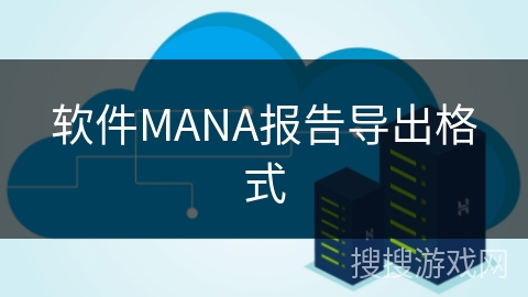 软件MANA报告导出格式