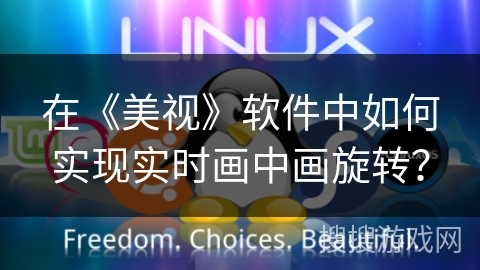 在《美视》软件中如何实现实时画中画旋转？