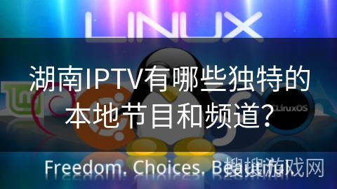 湖南IPTV有哪些独特的本地节目和频道？