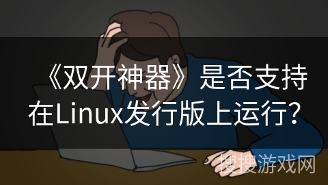 《双开神器》是否支持在Linux发行版上运行？