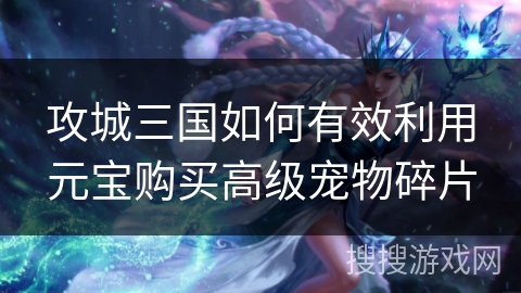 攻城三国如何有效利用元宝购买高级宠物碎片