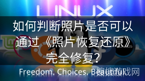 如何判断照片是否可以通过《照片恢复还原》完全修复？