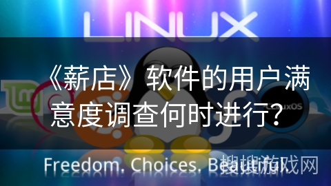 《薪店》软件的用户满意度调查何时进行？