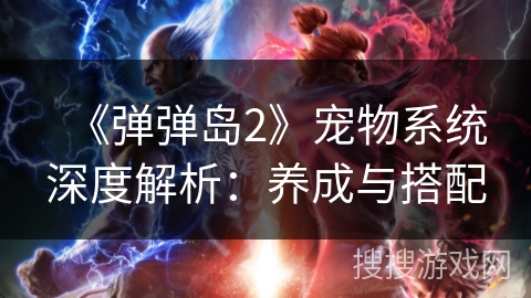 《弹弹岛2》宠物系统深度解析：养成与搭配
