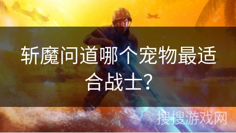 斩魔问道哪个宠物最适合战士？