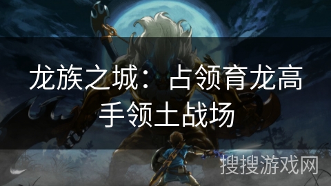 龙族之城：占领育龙高手领土战场