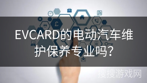 EVCARD的电动汽车维护保养专业吗？