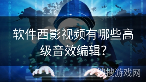 软件西影视频有哪些高级音效编辑？