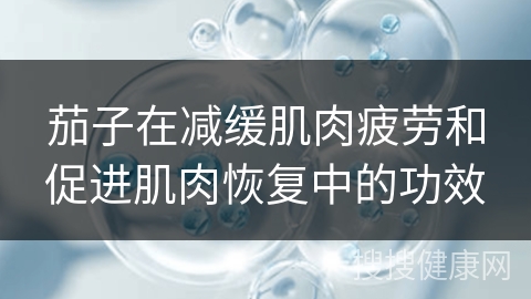 茄子在减缓肌肉疲劳和促进肌肉恢复中的功效