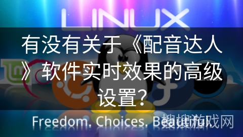 有没有关于《配音达人》软件实时效果的高级设置？