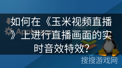 如何在《玉米视频直播》上进行直播画面的实时音效特效？