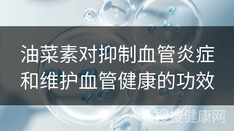 油菜素对抑制血管炎症和维护血管健康的功效