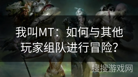 我叫MT：如何与其他玩家组队进行冒险？