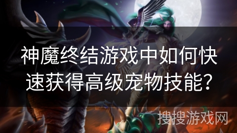 神魔终结游戏中如何快速获得高级宠物技能? 神魔终结游戏中如何快速获得高级宠物技能?