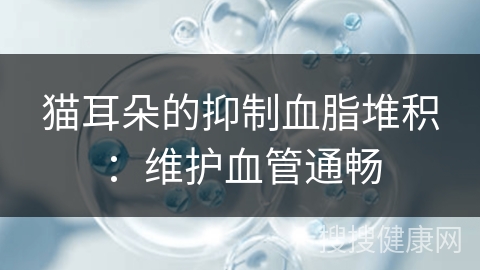 猫耳朵的抑制血脂堆积：维护血管通畅