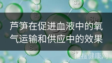 芦笋在促进血液中的氧气运输和供应中的效果