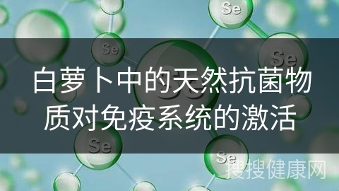 白萝卜中的天然抗菌物质对免疫系统的激活