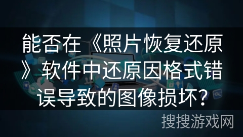 能否在《照片恢复还原》软件中还原因格式错误导致的图像损坏？